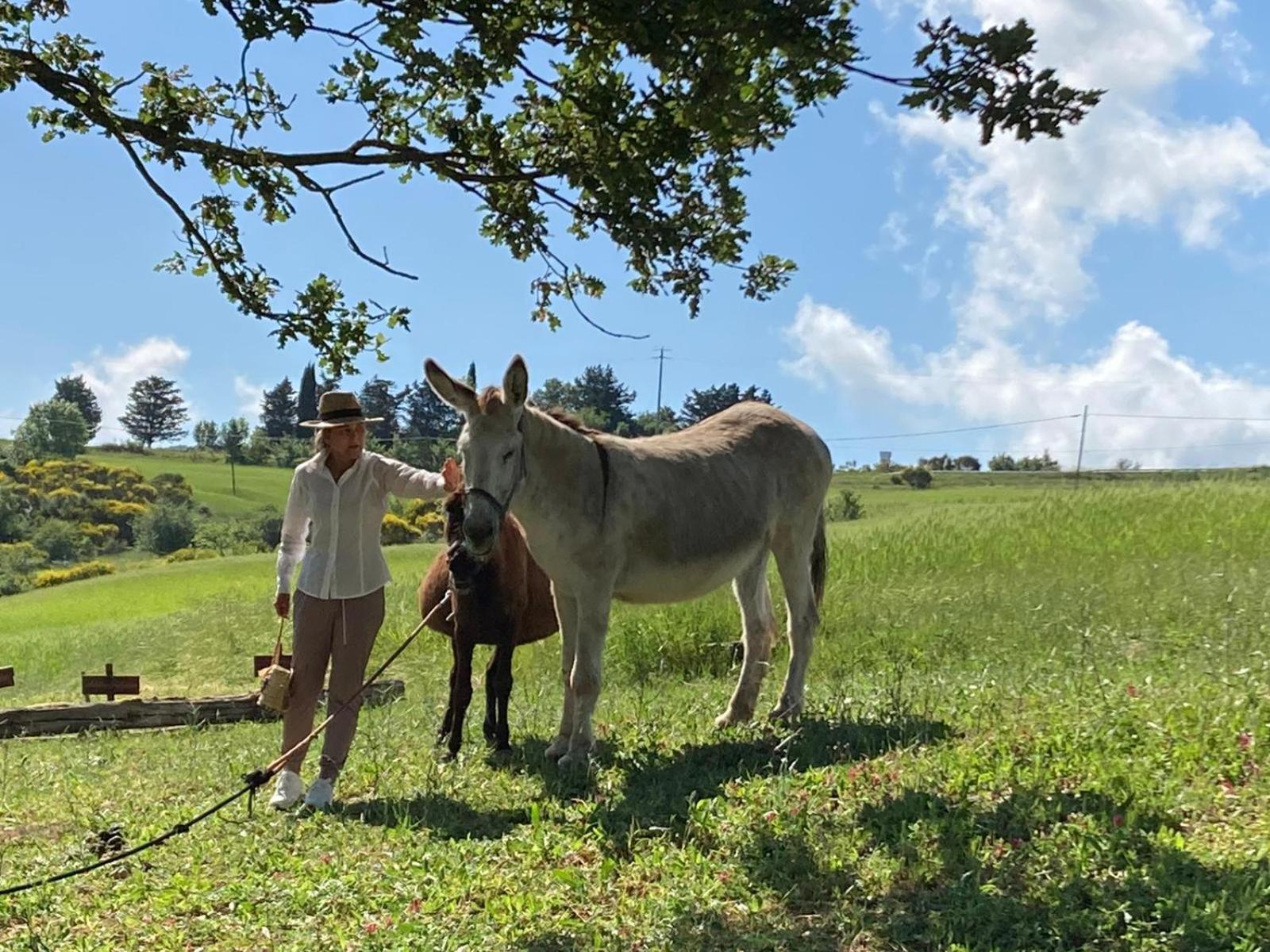 Agriturismo Selvella Radicofani Buitenkant foto