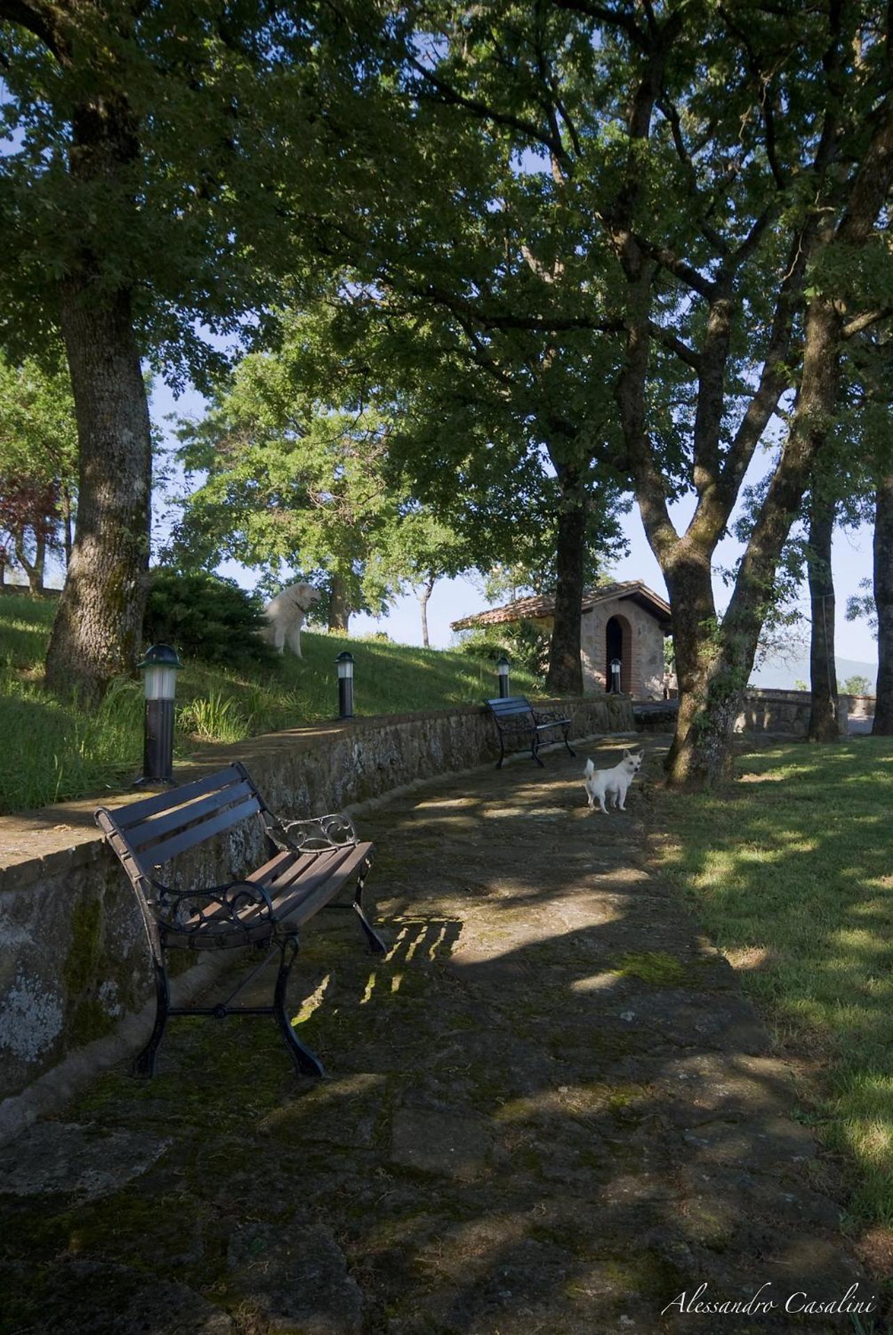 Agriturismo Selvella Radicofani Buitenkant foto
