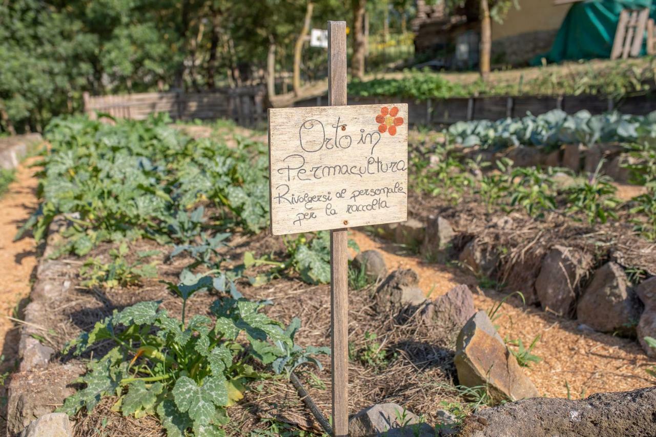 Agriturismo Selvella Radicofani Buitenkant foto